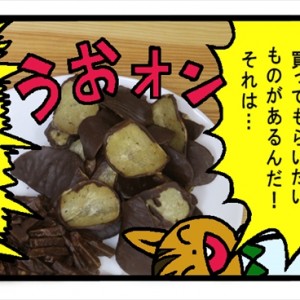 東京駅の檄ウマスイーツ！ プレミアムなキットカットや薩摩芋のチョコチップを食べてないなんて!!