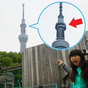 【街ブラ】東京スカイツリーが倒れたら…心配性の女子大生が調査してきた