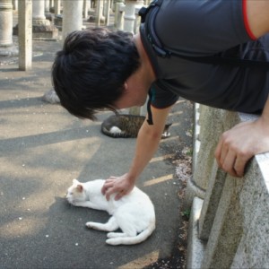 猫の聖地巡礼！護国寺で猫に逆ナンパされてきた