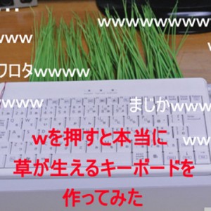 実際に草が生えるキーボードを作ってみた結果ｗｗｗ
