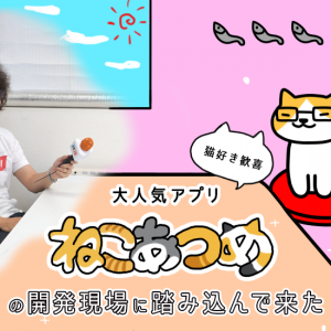 【猫好き歓喜】大人気アプリ「ねこあつめ」の開発現場に踏み込んで来た