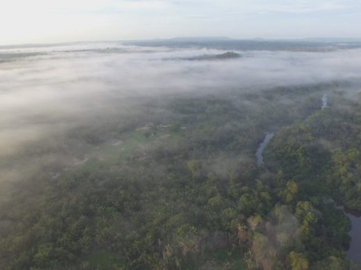 アマゾン未知の部族「最後の男」が抱える絶望的な孤独