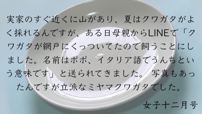 実家のすぐ近くに山があり、夏はクワガタがよく採れるんですがある日母親からLINEで「クワガタが網戸にくっついてたので飼うことにしました。名前はポポ、イタリア語でうんちという意味です」と送られてきました。 写真もあったんですが立派なミヤマクワガタでした。
