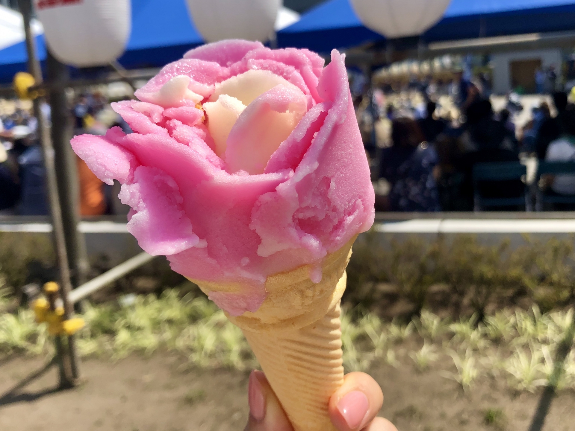 秋田のご当地アイス『ババヘラアイス』を食べてみよう | オモコロブロス!