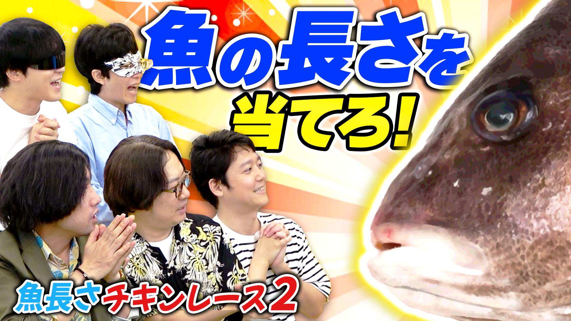 魚のアタマだけ見て「長さ」を予想しろ！魚長さチキンレース