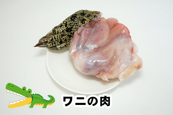 鶏肉みたいな味 の肉 4種食べ比べ ワニ カエル カンガルー ウズラ オモコロブロス